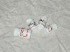 DSCN0955.JPG
